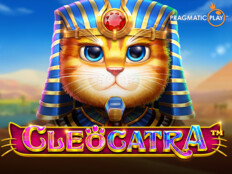 Cool cat casino download33